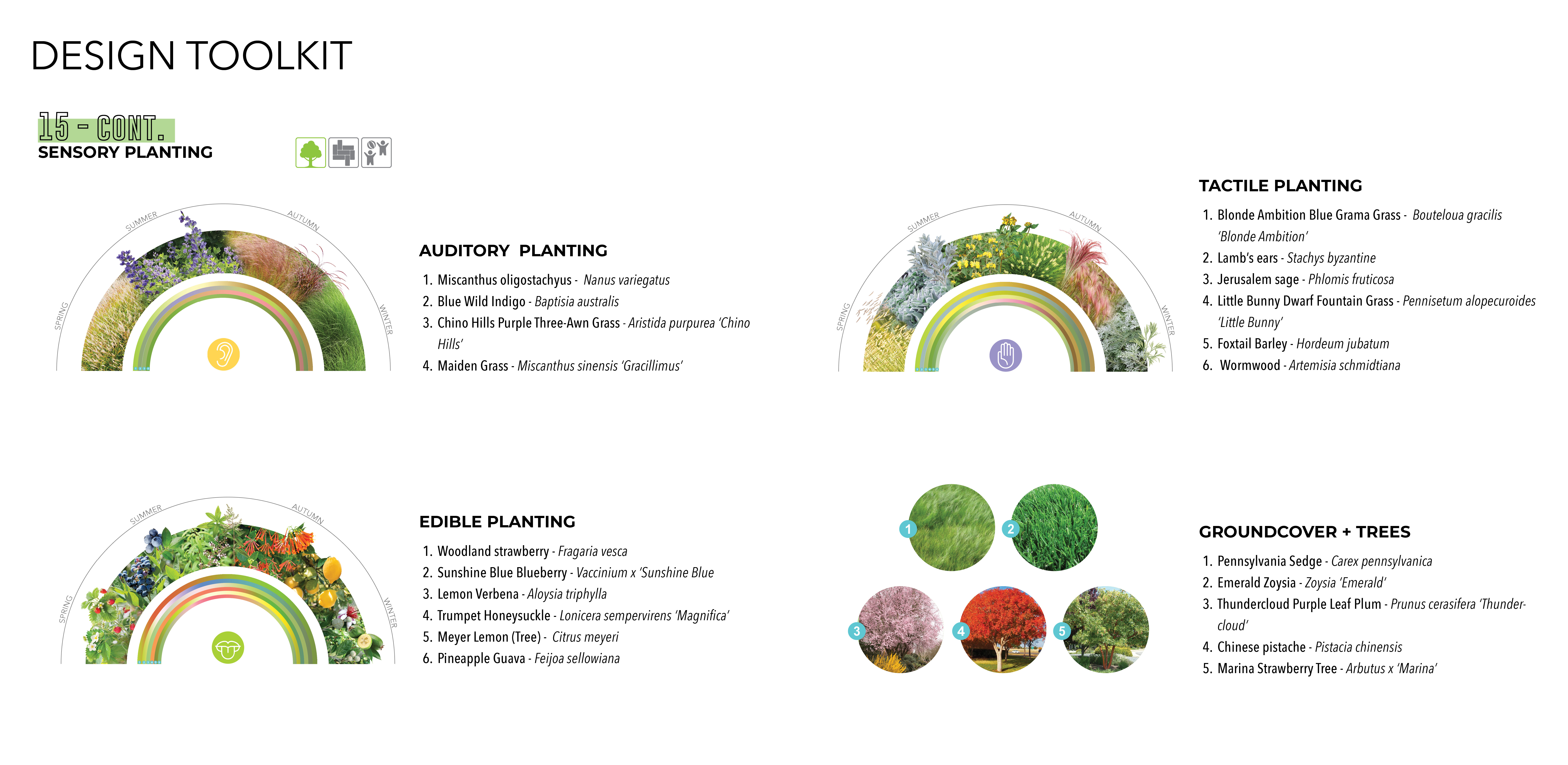 Sensory Planting Guide (Auditory, Tactile, Edible, and Groundcover + Trees)